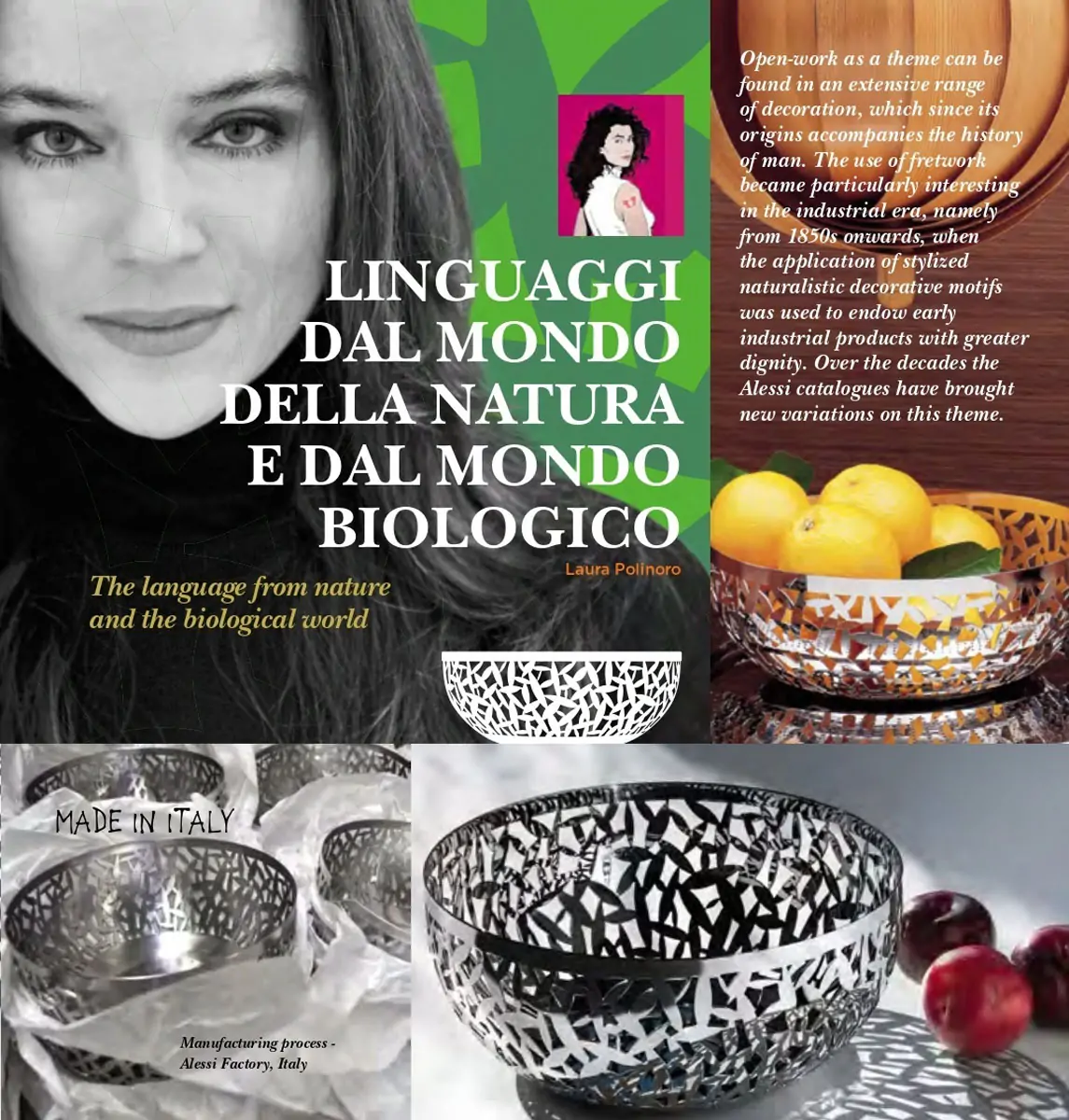 Cactus! φρουτιέρα - ALESSI - Image 7