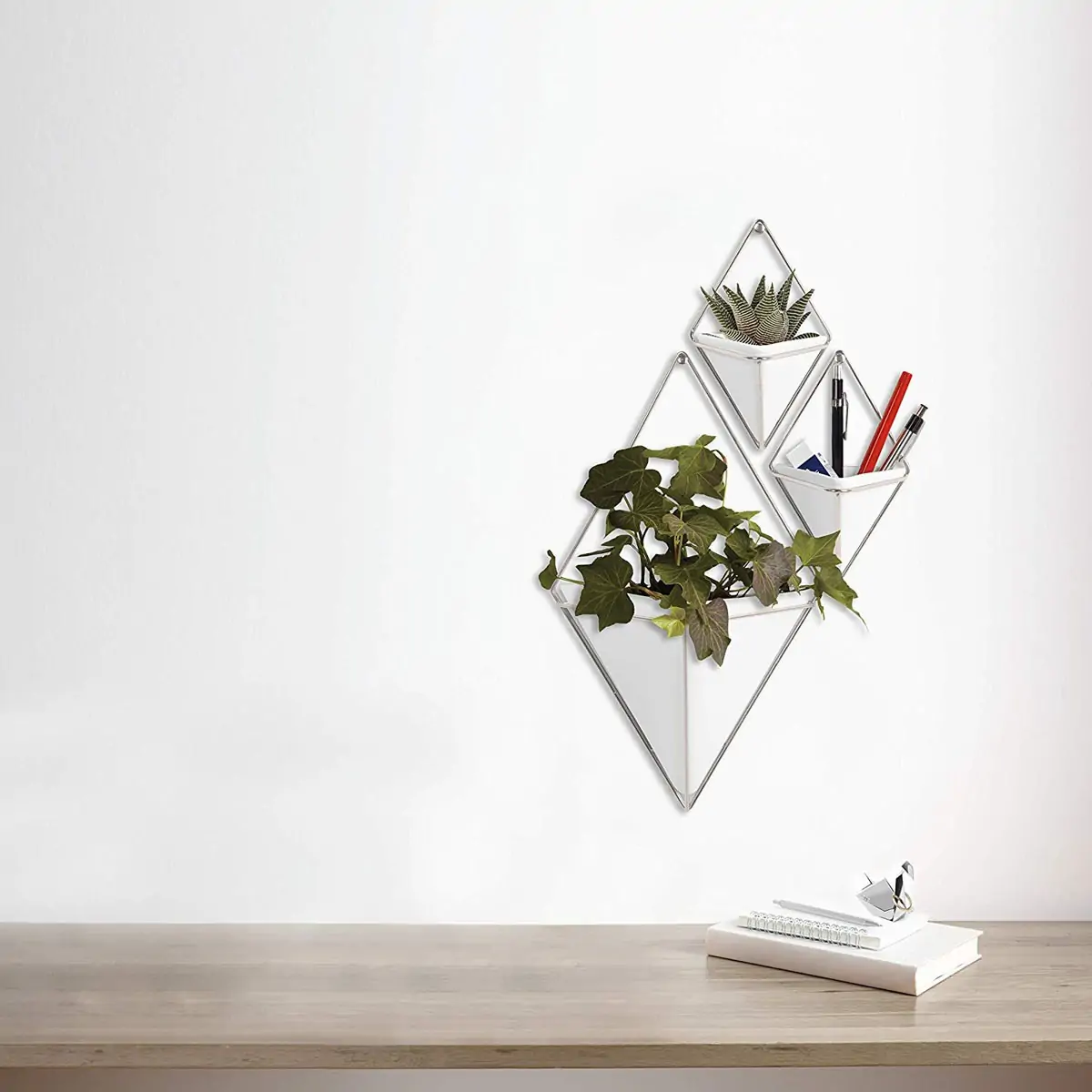 Trigg γλαστράκια επιτοίχια σετ/2 - Umbra - Image 6