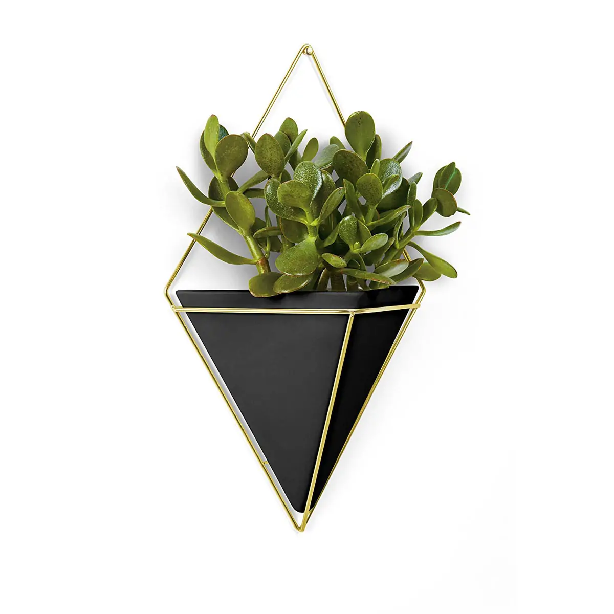 Trigg γλάστρα επιτοίχια - Umbra