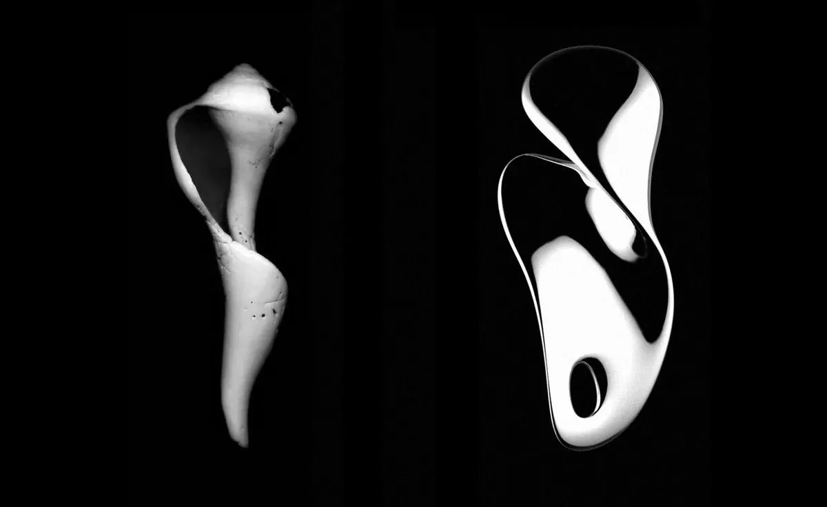 Bulla ανοιχτήρι φιαλών - ALESSI - Image 3