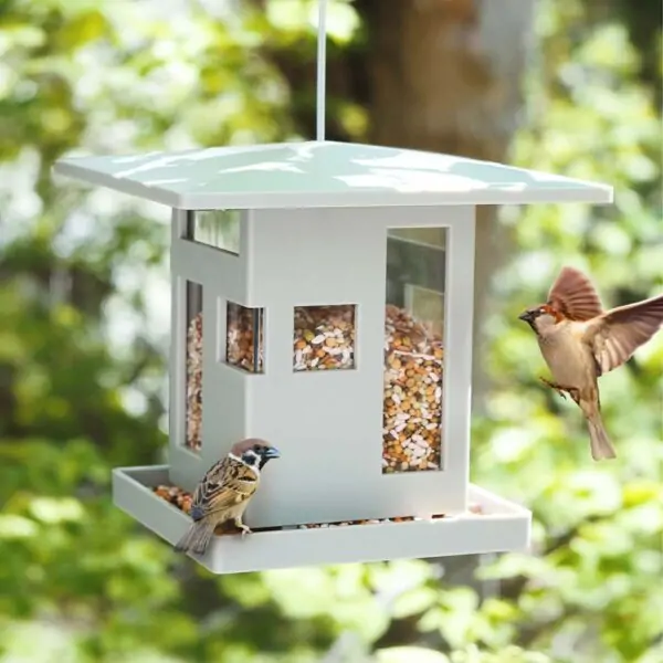 Bird Café ταΐστρα πουλιών κρεμαστή - Umbra - Image 6