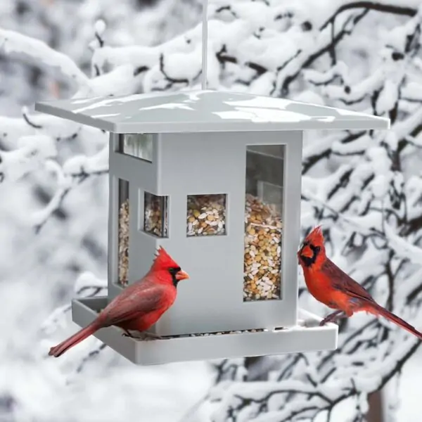 Bird Café ταΐστρα πουλιών κρεμαστή - Umbra - Image 7