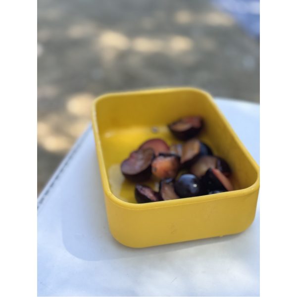 Φαγητοδοχείο σιλικόνης family milk/curry - Nok Nok - Image 4