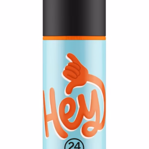 Spin Bottle Hey! blue θερμός 0,73lt. – 24Bottles