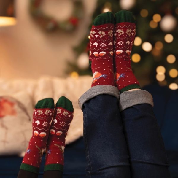 Ζευγάρι κάλτσες αντρικές "Season's Tweetings" - Wrendale - Image 2