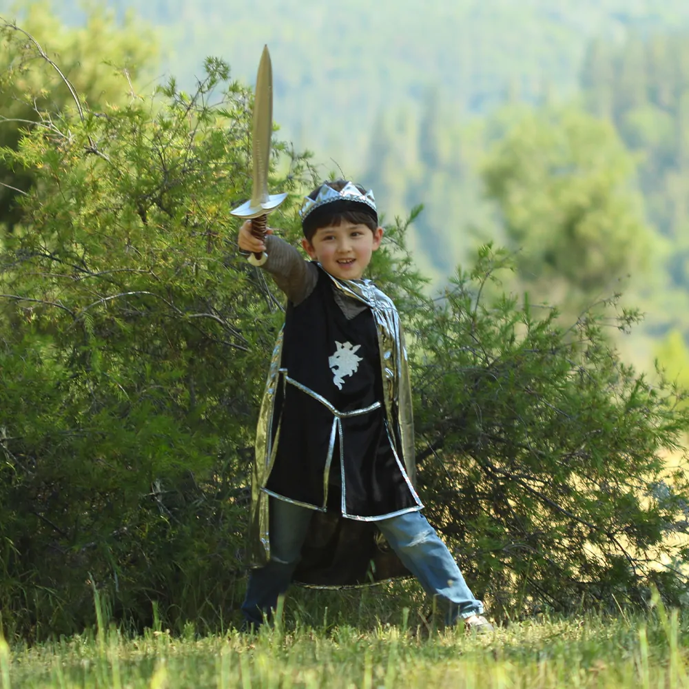 Στολή Ιππότης (Μανδύας-Χιτώνας, Κάπα, Κορώνα) ασημί 7-8χρ. - Great Pretenders - Image 2