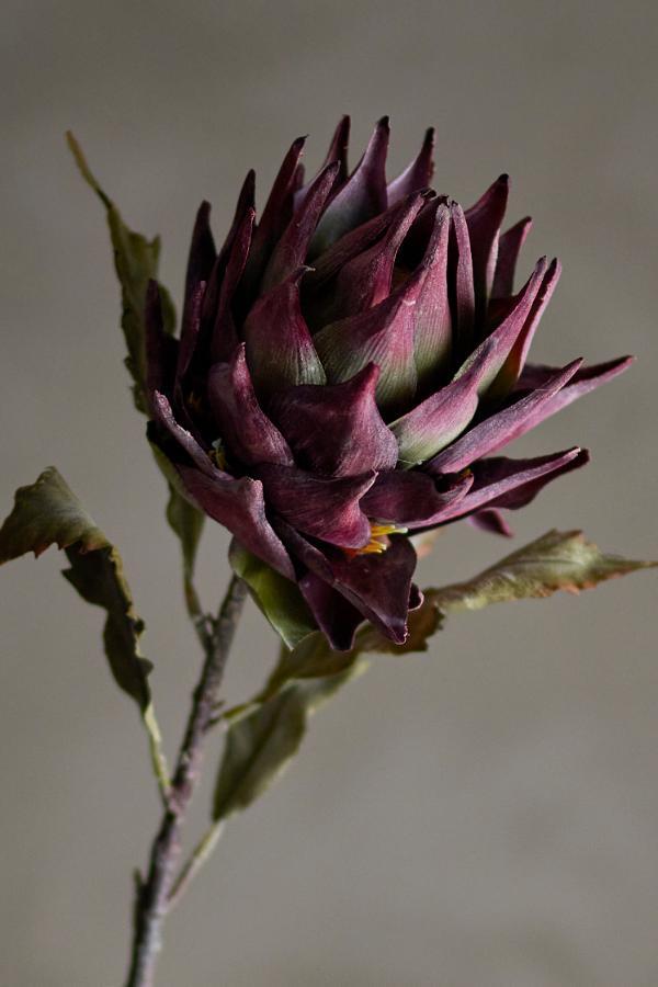 Τεχνητό κλαδί "Protea" 76εκ. - Bloomingville - Image 2