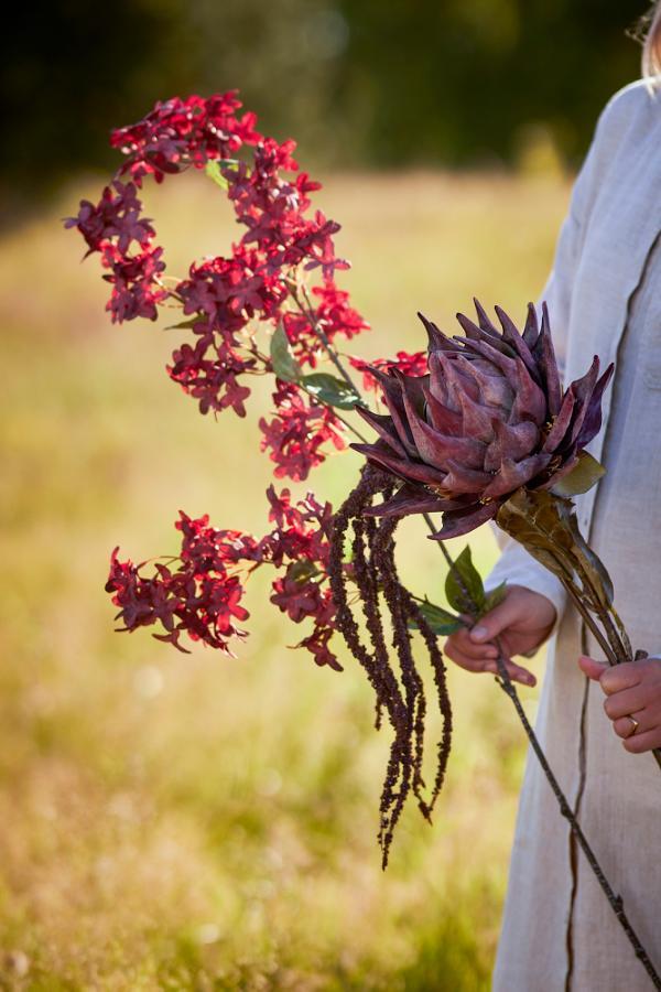 Τεχνητό κλαδί "Protea" 76εκ. - Bloomingville - Image 3