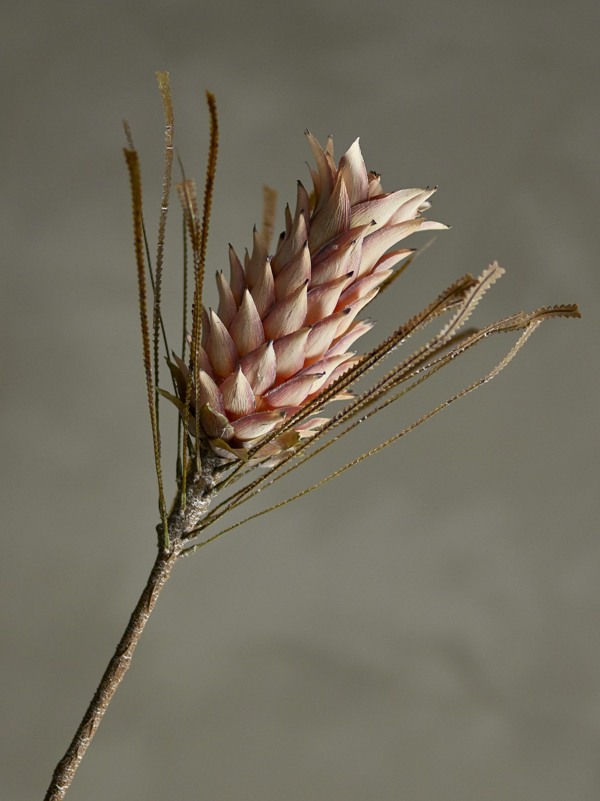Τεχνητό κλαδί "Palmflower" - Bloomingville - Image 3