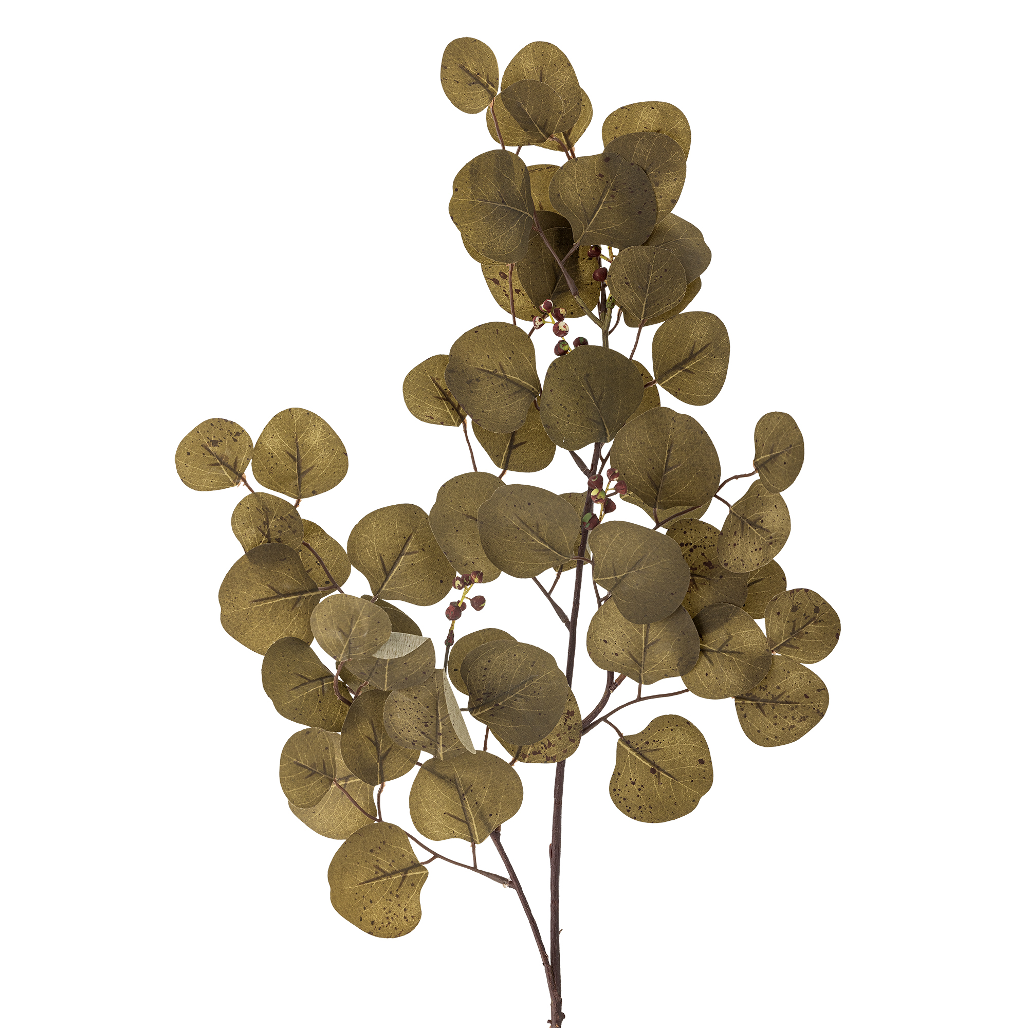 Τεχνητό κλαδί "Eucalyptus" 85εκ. - Bloomingville - Image 4